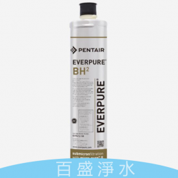 愛惠浦BH2 [淨水器]-濾心